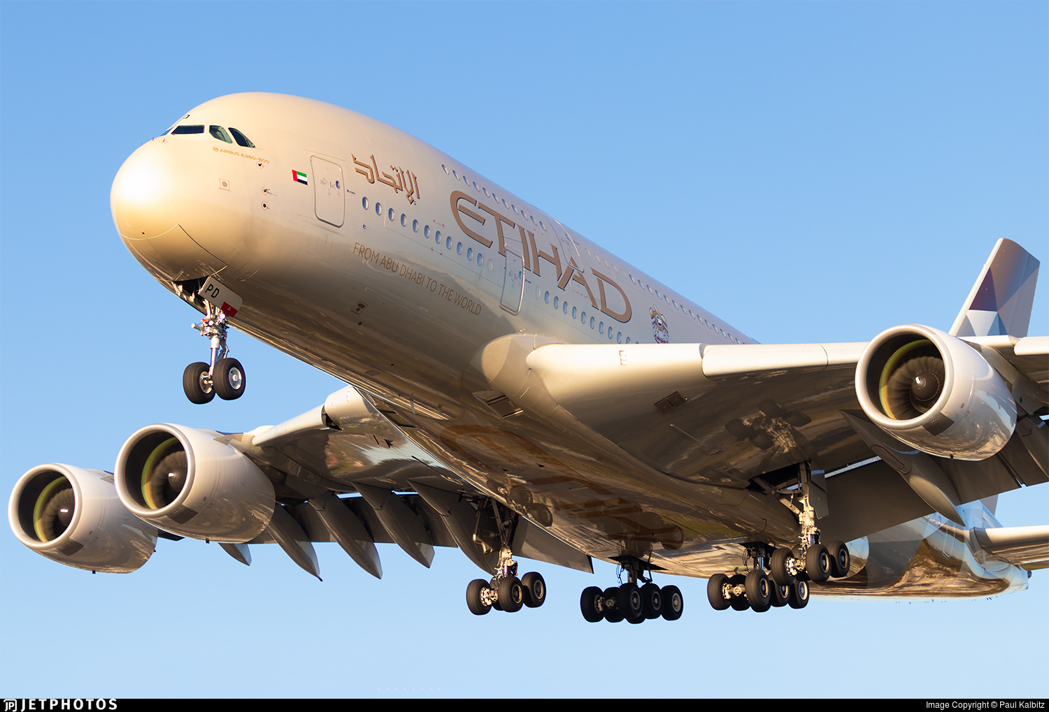 Tips & Trik Cara Koreksi Nama Tiket Etihad Airways